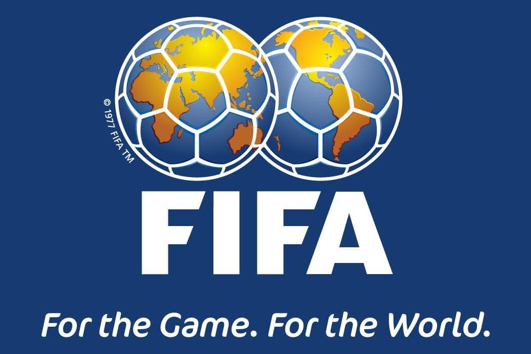 World Cup: Nigeria left out as FIFA unveils 170 match officials