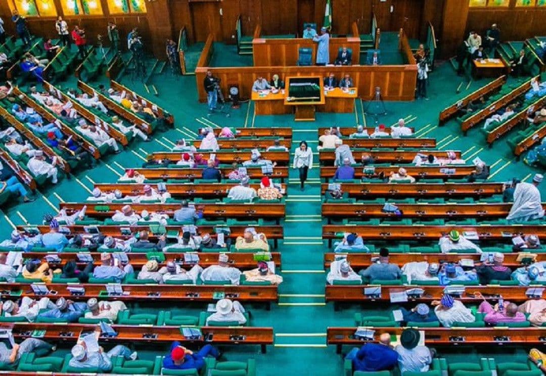 Reps to FG: Send soldiers to Borno, Kaduna communities