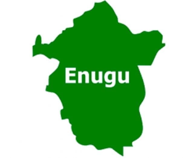 Enugu: 11 killed as tree crushes two commercial vehicles