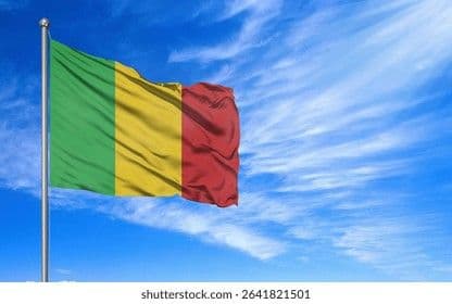 Explosions, gunfire rock Mali as terrorists launch coordinated attacks