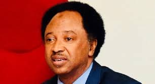 Shehu Sani to El-Rufai: You never fought for democracy, governed with arrogance