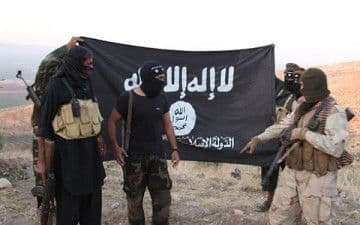 Five IS fighters killed in US strikes – Syria monitor