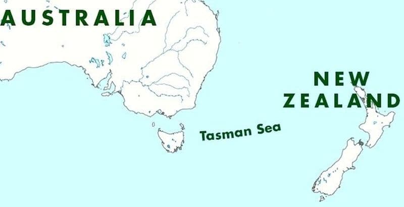 New Zealand’s sheep population outnumbers humans by 4.5 to 1 – Report