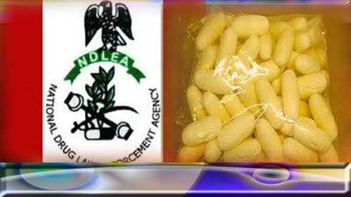 Wanted drug kingpin arrested after 15 years