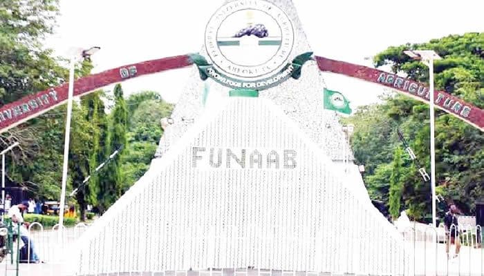 Robbery attacks: Ogun varsity students resort to self-help