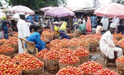 Sallah: Mokwa bridge collapse fuels tomato, pepper price surge