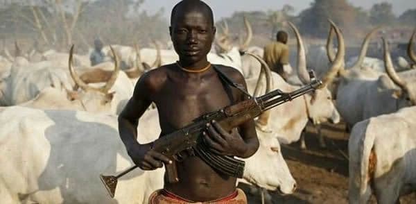 Anger as suspected herdsmen kill Enugu youth